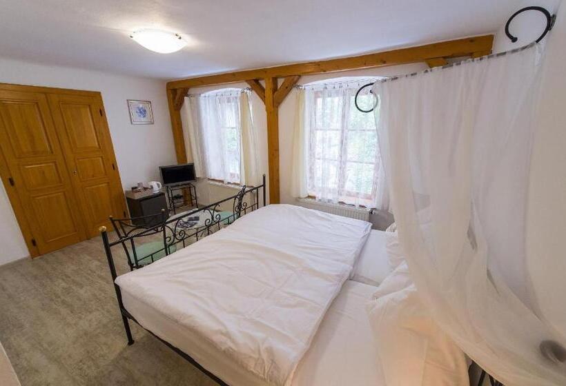 标准间, Pension U Zámku