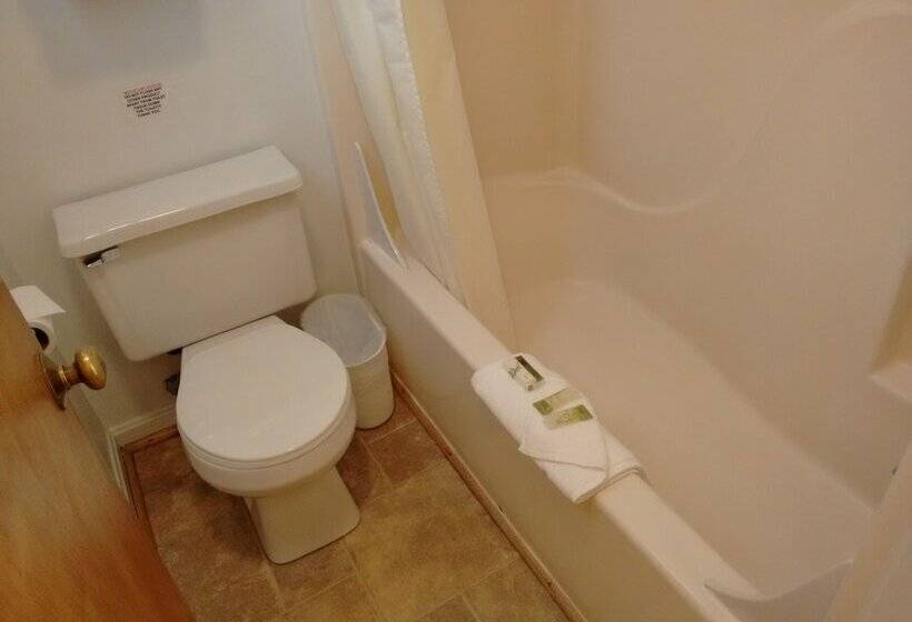 غرفة أساسية سرير مزدوج, Cape View Motel