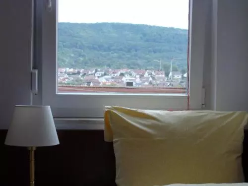スタンダードシングルルーム, Gasthaus Traube