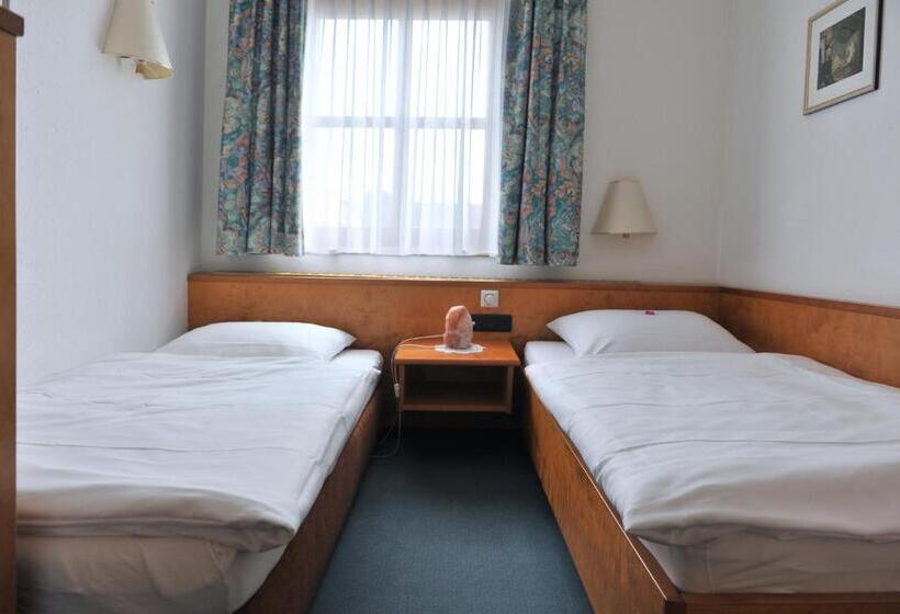 스탠다드 룸, Grüner Baum