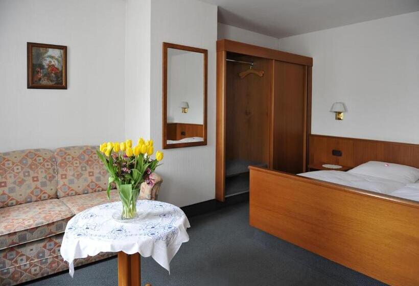 스탠다드 룸, Grüner Baum