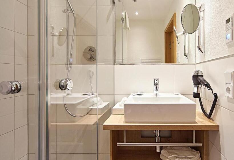 シングルベーシックルーム, Krone Immenstadt Stein