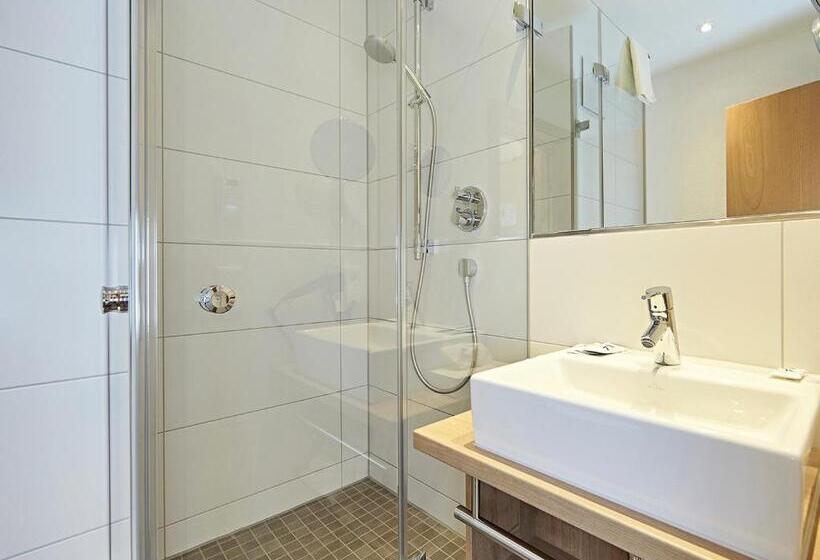 ベーシックルーム, Krone Immenstadt Stein