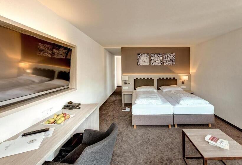 スタンダードルーム, Krone Immenstadt Stein