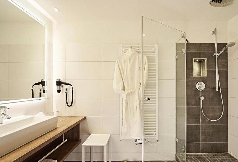 スタンダードルーム, Krone Immenstadt Stein