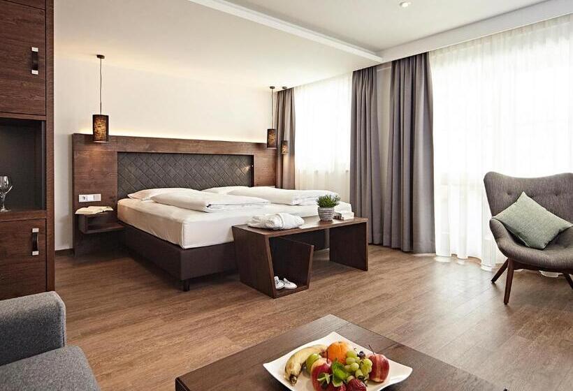 スタンダードルーム, Krone Immenstadt Stein