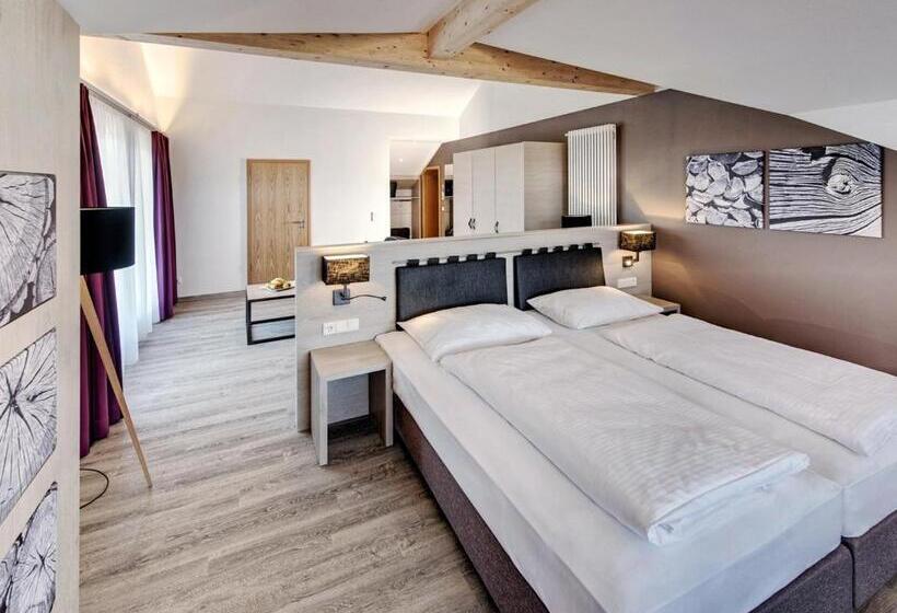 スタンダードルーム, Krone Immenstadt Stein