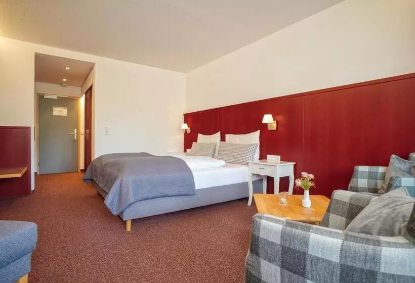 اتاق استاندارد با تخت بزرگ, Landhaus Sommerau