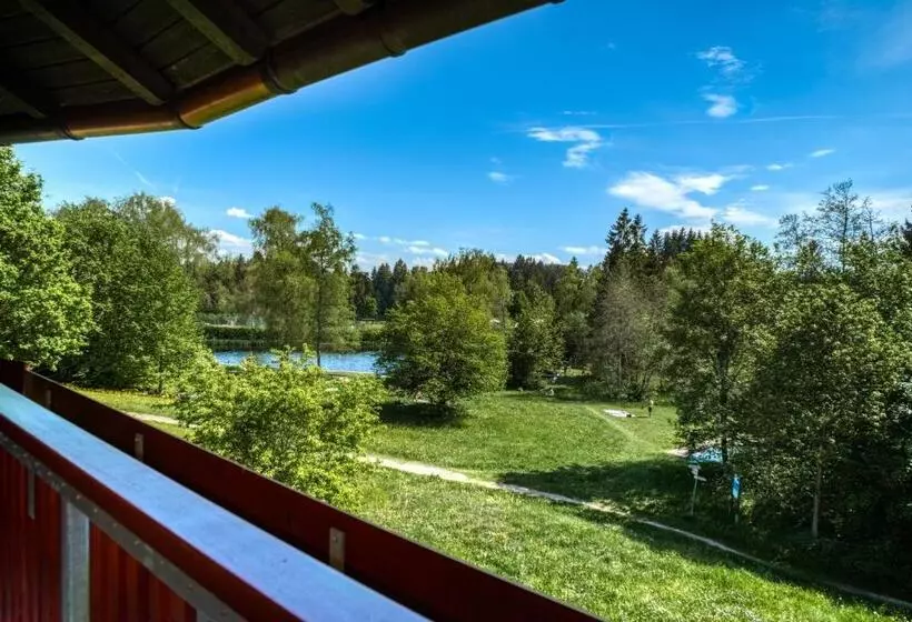 اتاق استاندارد با تخت بزرگ, Landhaus Sommerau