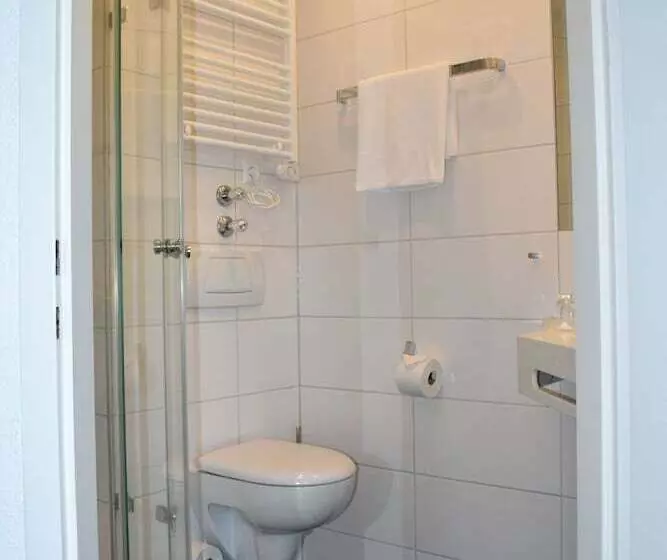 Standard-huone Parveke, Lindenallee