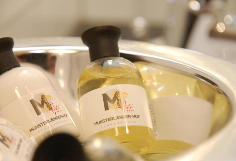 غرفة قياسية فردية, Münsterländer Hof