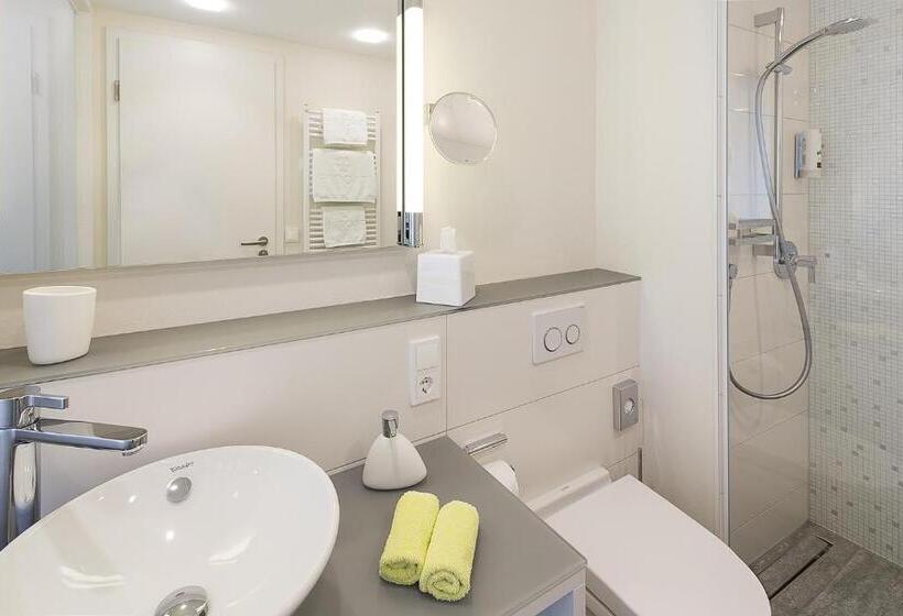 스탠다드 룸, Taome Feng Shui Stadthotel Breisgau