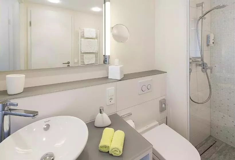 スタンダードルーム, Taome Feng Shui Stadthotel Breisgau