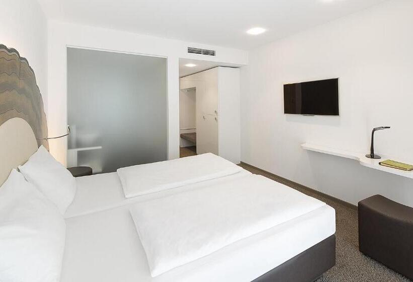 스탠다드 룸, Taome Feng Shui Stadthotel Breisgau
