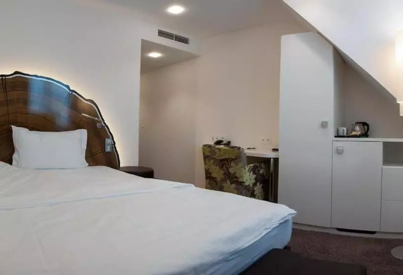 エコノミーシングルルーム, Taome Feng Shui Stadthotel Breisgau