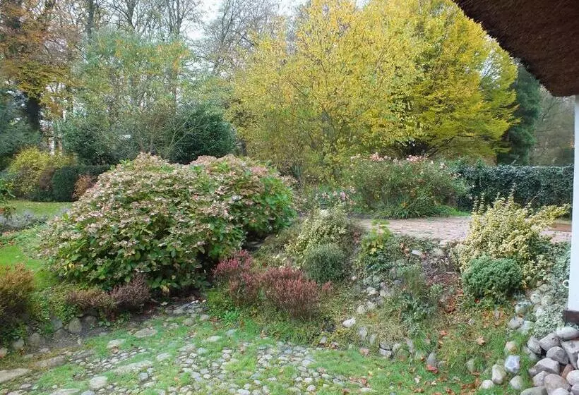 コンフォートルーム, Taubenhof   Gut Cadenberge