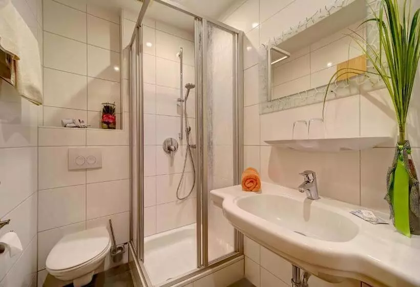 اتاق استاندارد, Zum Edlhof