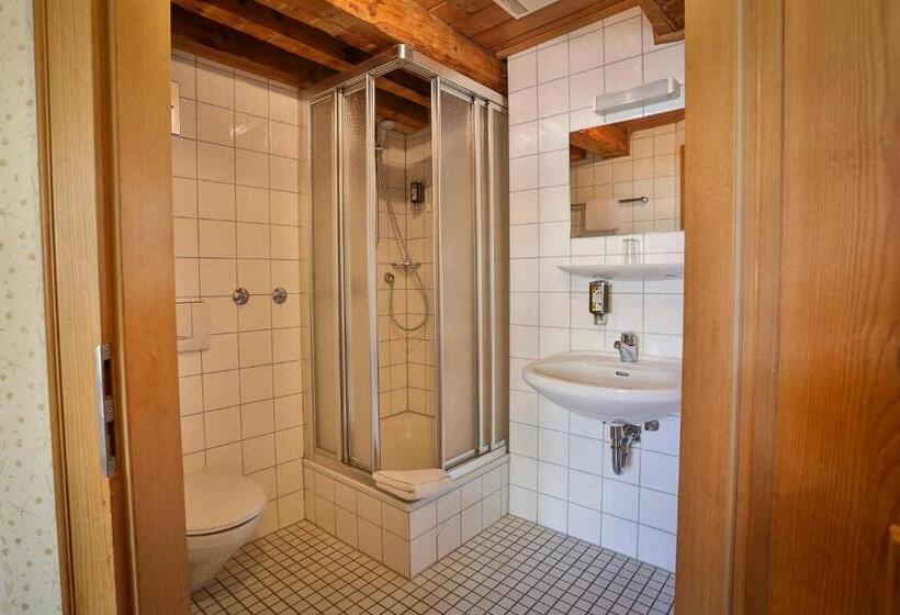 Номер Стандарт Индивидуальный, Brauereigasthof Josef Fuchs