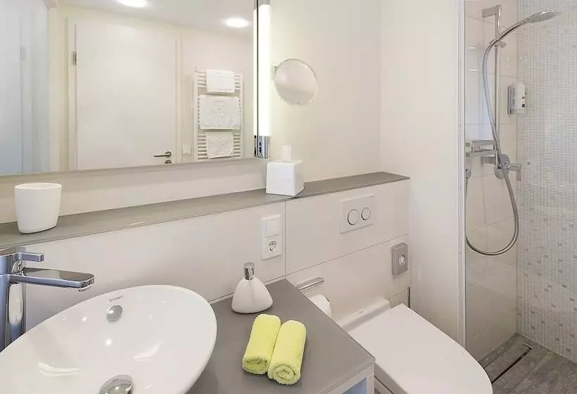 スタンダードルーム, Taome Feng Shui Stadthotel Breisgau