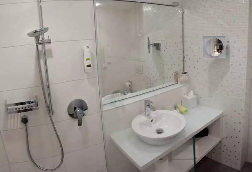 スタンダードシングルルーム, Taome Feng Shui Stadthotel Breisgau