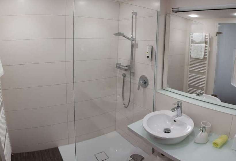 스탠다드 싱글 룸, Taome Feng Shui Stadthotel Breisgau