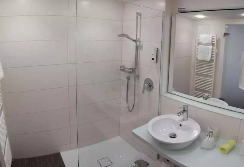 スタンダードシングルルーム, Taome Feng Shui Stadthotel Breisgau