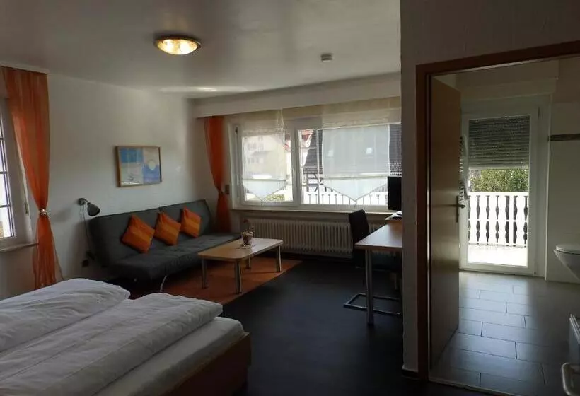 コンフォートルーム, H41 Inn Hotel Garni Freiburg