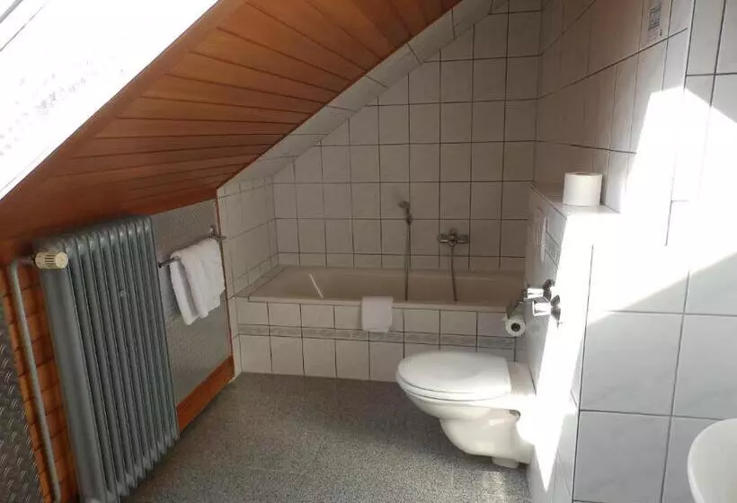 エコノミーシングルルーム, H41 Inn Hotel Garni Freiburg