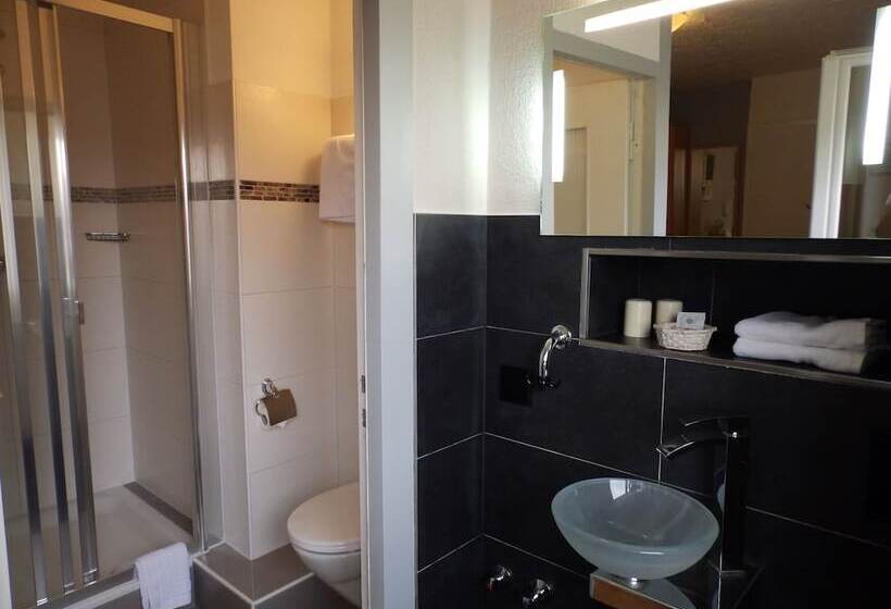 Номер Economy, H41 Inn Hotel Garni Freiburg