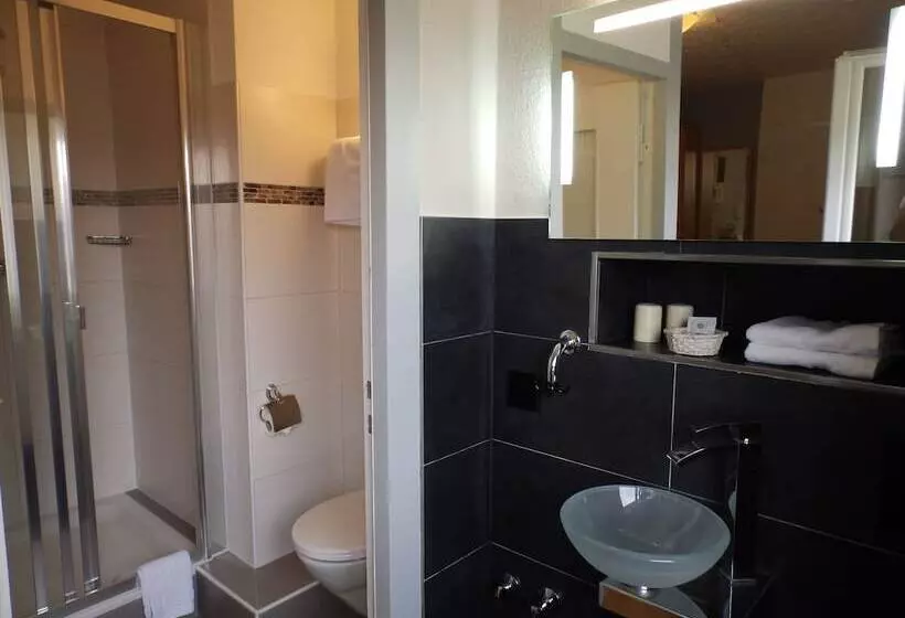 エコノミールーム, H41 Inn Hotel Garni Freiburg