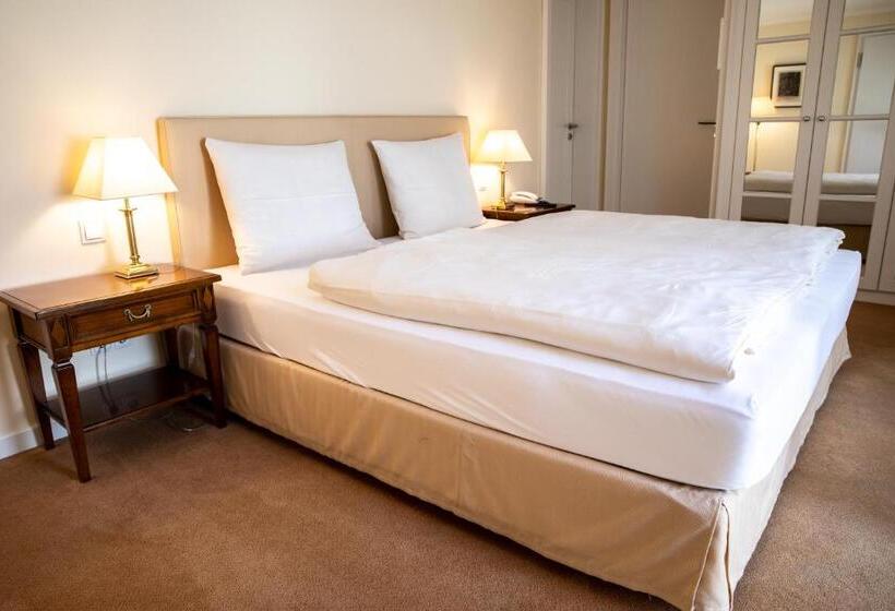 Standard Single Room, Altstadthotel Messerschmitt