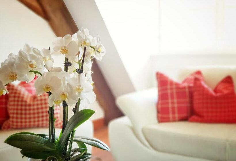 Suite, Altstadthotel Molitor