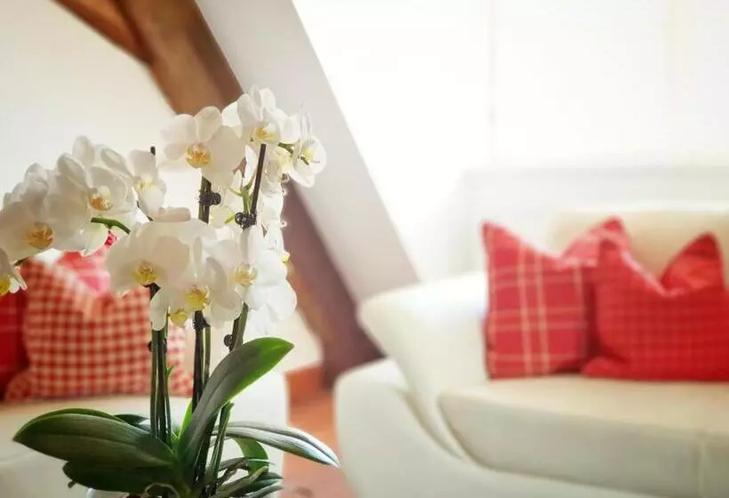 スイート, Altstadthotel Molitor