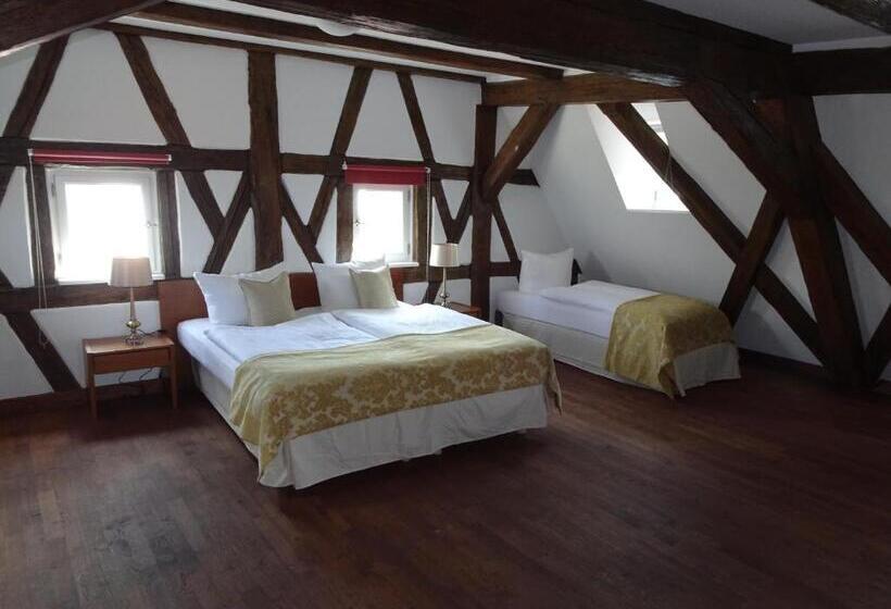 Suite, Altstadthotel Molitor