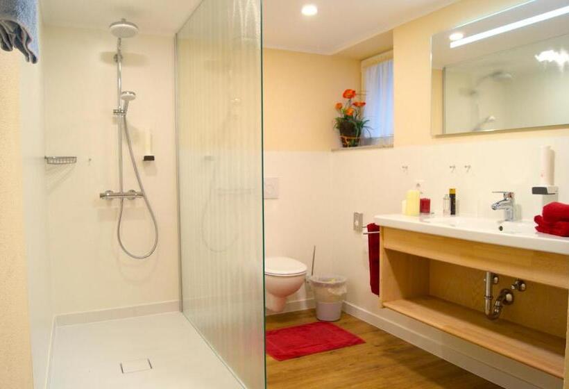 דירת חדר, Appartementhotel Breitmattstub