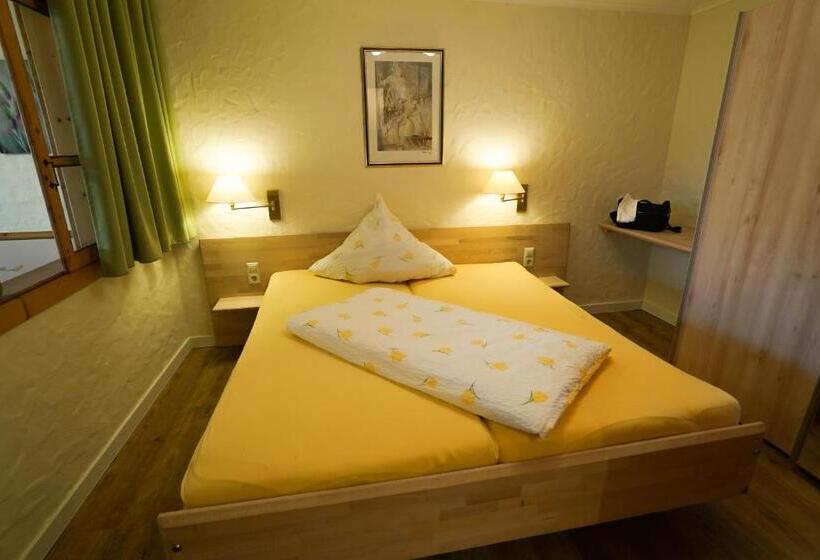 Апартаменты 1 Спальня, Appartementhotel Breitmattstub