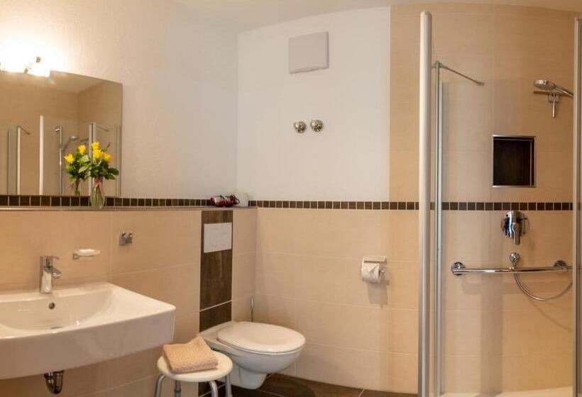 Номер Стандарт Адаптированный для Инвалидов, Berggasthof Sonne Allgäu