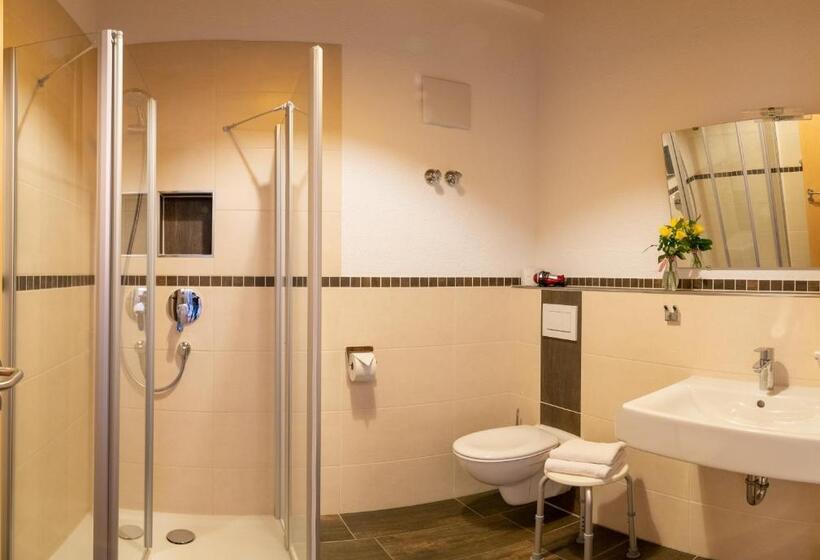 Номер Стандарт Адаптированный для Инвалидов, Berggasthof Sonne Allgäu