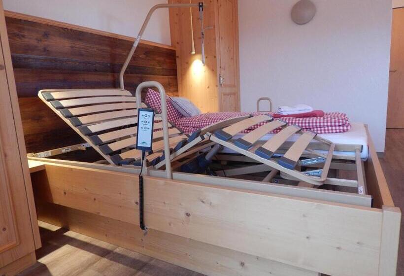 Номер Стандарт Адаптированный для Инвалидов, Berggasthof Sonne Allgäu