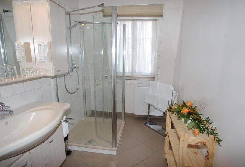 스탠다드 싱글 룸, Hessischer Hof