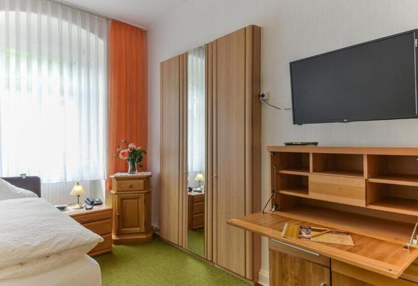 스탠다드 싱글 룸, Hessischer Hof