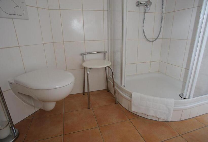 스탠다드 싱글 룸, Hessischer Hof