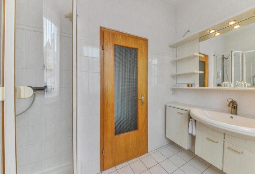 스탠다드 룸, Hessischer Hof