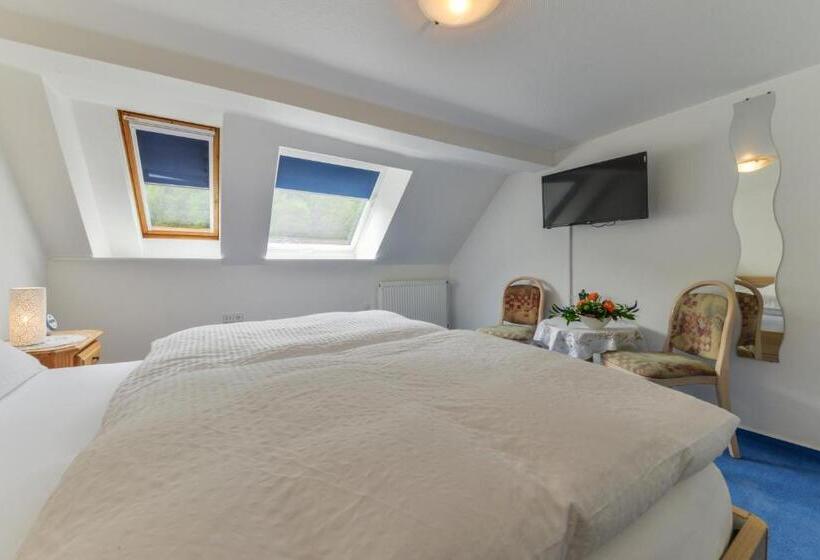 스탠다드 룸, Hessischer Hof