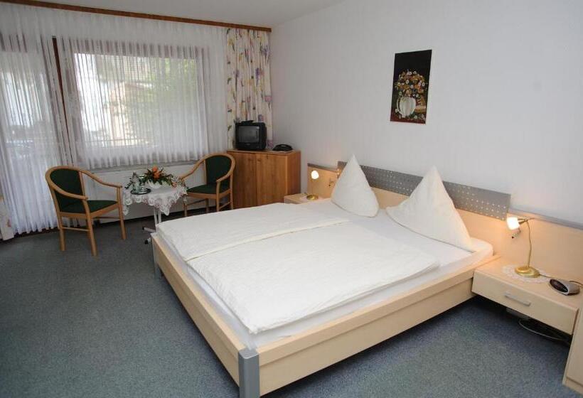 스탠다드 룸, Hessischer Hof