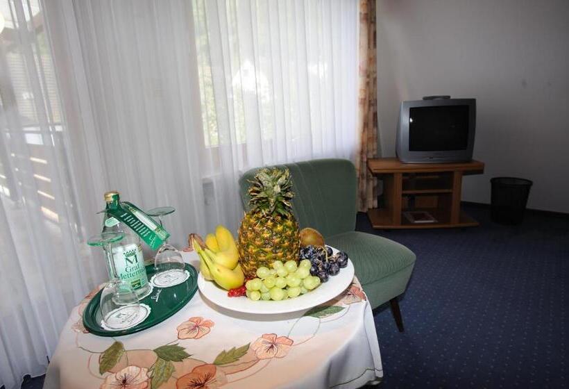 스탠다드 룸, Hessischer Hof