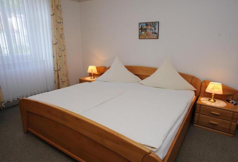 스탠다드 룸, Hessischer Hof