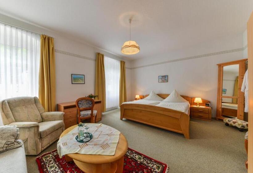 스탠다드 룸, Hessischer Hof