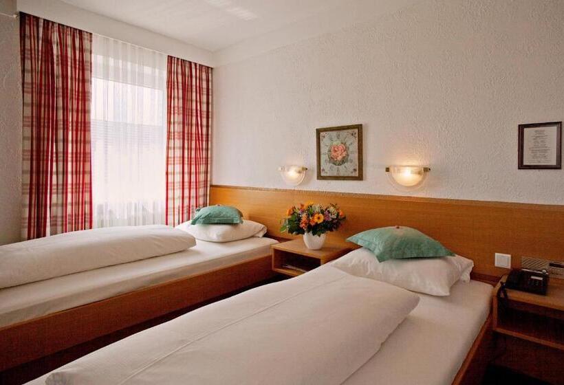 クラシックルーム, Mayer