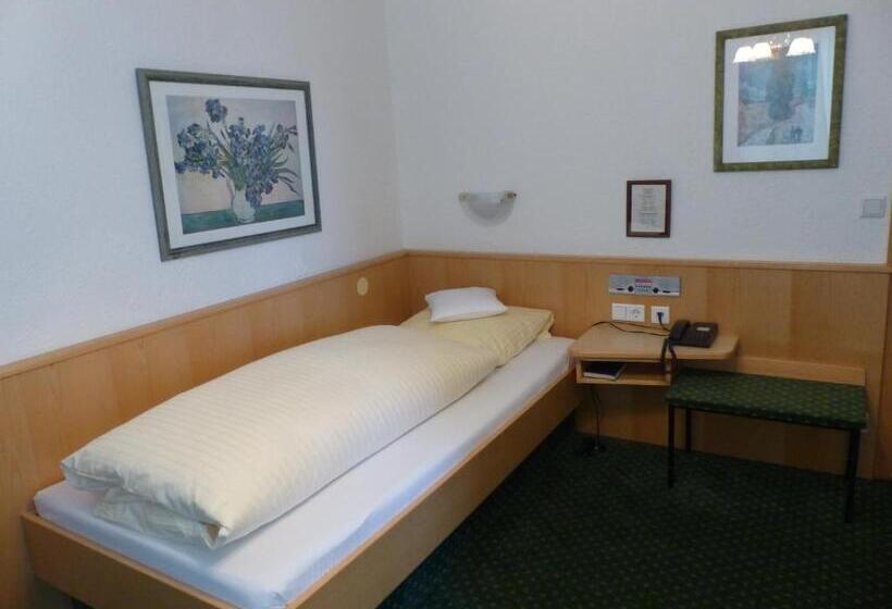 舒适型单人间, Mayer